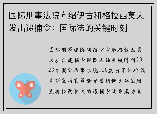 国际刑事法院向绍伊古和格拉西莫夫发出逮捕令：国际法的关键时刻