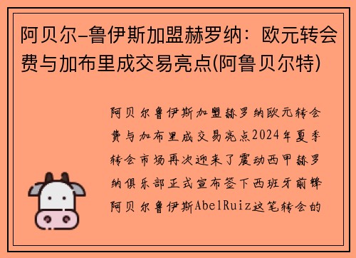 阿贝尔-鲁伊斯加盟赫罗纳：欧元转会费与加布里成交易亮点(阿鲁贝尔特)